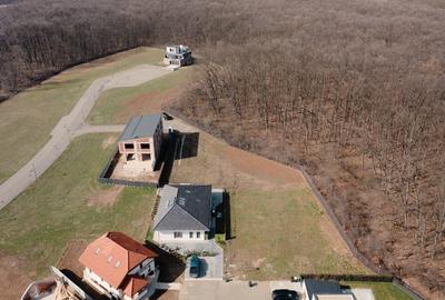 Teren de vis în Dumbrava Vlăsiei – 1290 mp, la marginea pădurii mature - 3