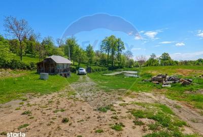 Casă cu 4 camere în Mara - 7