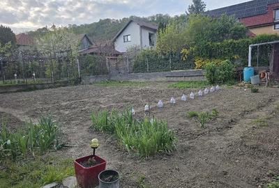 Casă cu 2 camere cu Teren 609 Mp în Central
