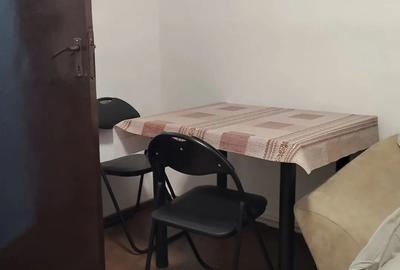 Camera de camin, 21mp utili, pentru inchiriere, Hunedoara - 9