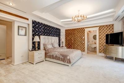 Casă individuală cu 15 camere cu Canalizare în Petricani - 13