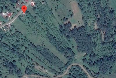 Teren agricol intravilan de 10565 mp, în Coasta Cerbului
