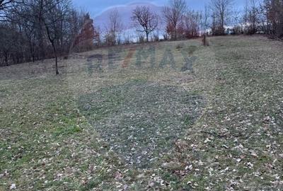 Teren Construcții intravilan de 1000 mp, în Rus - 4