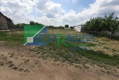 Langa noul stadion Arena Eroilor! - 3