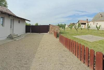 Casă cu 3 camere cu Teren 3500 Mp în Satu Mare - 2