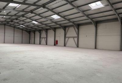 Spatiu depozitare si productie Otopeni - 1