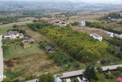 Teren de 960 mp, în Bârnova - 3