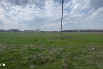 Teren de 1000 mp, în Central - 3