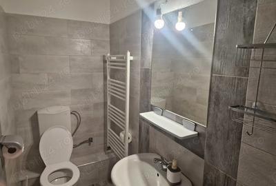 Spa?iu de inchiriat - 3