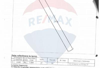 Teren de 56700 mp, în Mischii - 5
