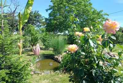 Teren de 1000 mp, în Careiului