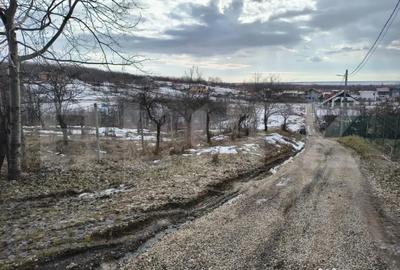 Teren în Păulești - 3