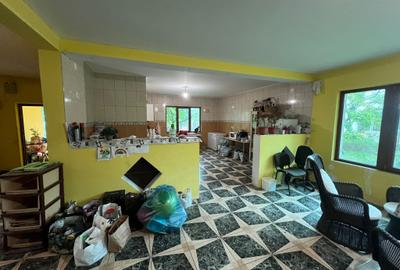 Vila agigea P+1+M inalt - 10