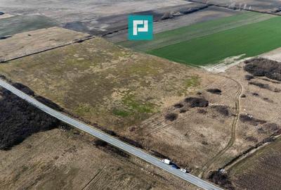 Teren agricol extravilan de 9000 mp, în Sânmihaiu Român - 2