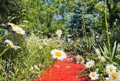 Casă Olari zona Balta Doamnei - 11
