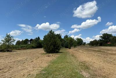 Casă cu 6 camere cu Teren 16351 Mp în Viile Satu Mare - 1