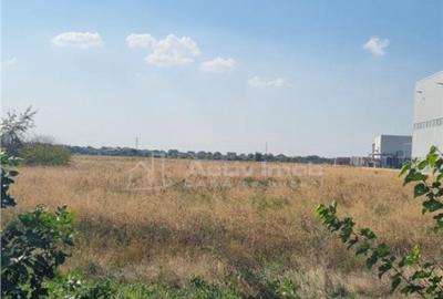 Teren 25000 la 4 benzi deschidere 70m - 1