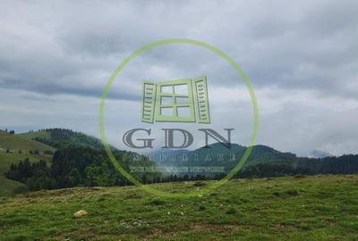 Parcele de vis in munti – Zona Arka Park, cu drum de acces si PUZ aprobat - 7