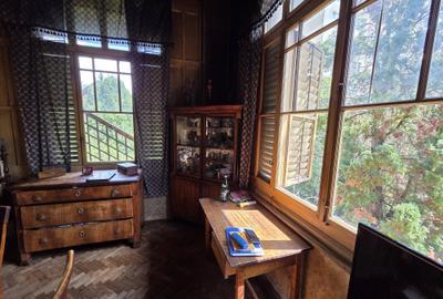 De vânzare – Apartament cu teren generos în cartierul Grigorescu, strada Donath - 5