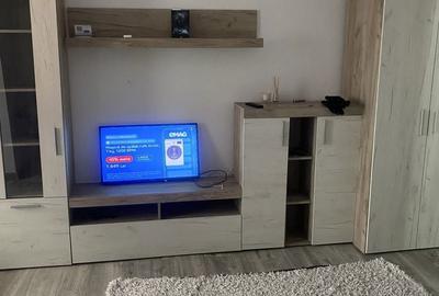 Garsonieră decomandată în Burdea - 2