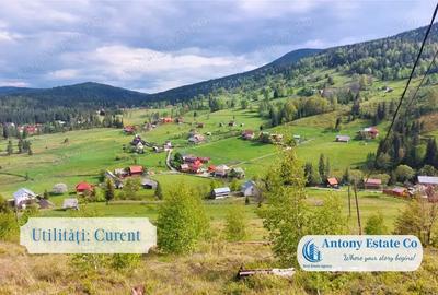 Teren de 3222 mp, în Galbena - 2