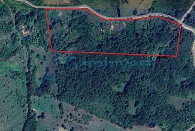 Teren Construcții intravilan de 64500 mp, în Tomnatic - 1