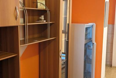 Ofer spre inchiriere apartament 2 camere in Lugoj - 8