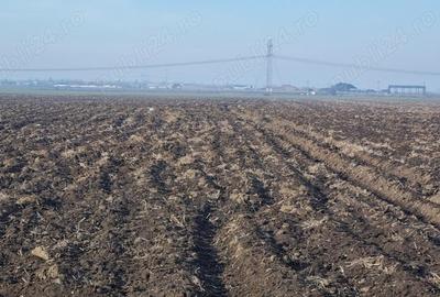 Vanzare Teren intravilan 10000mp Balaceanca - 3