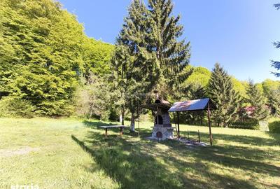 Casă cu 7 camere cu Teren 1035 Mp în Central - 6