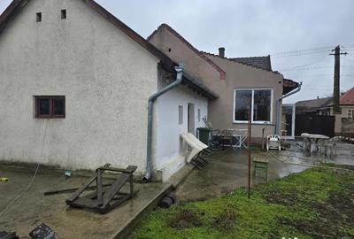 Casă cu 5 camere cu Teren 3040 Mp în Tămășeu - 18