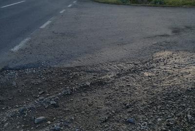Teren de 15000 mp, în Topolovățu Mare - 1