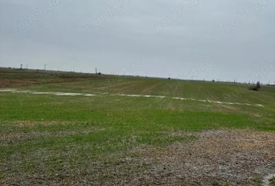 Casă cu 3 camere în Cosmești - 5