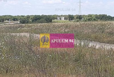 Teren de 715 mp, în Snagov - 8