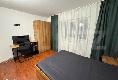 Apartament cu 3 camere semidecomandat, mobilat în Brazda lui Novac - 6