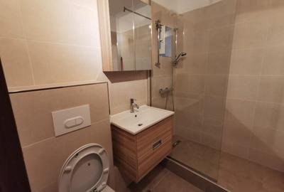 Brand new furnished Studio for rent Piata Victoriei Titulescu Banu Manta - 7