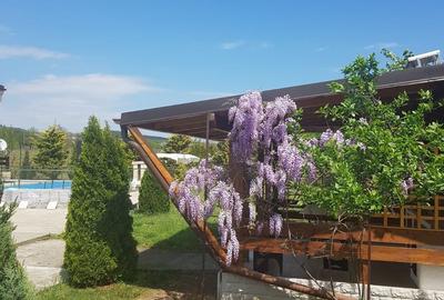 Casă cu 3 camere în Jercălăi - 1