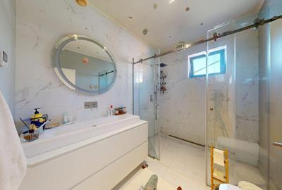 Vand casa de lux 4 dormitoare Piata Ferentari - Codrului - 0% comision - 17