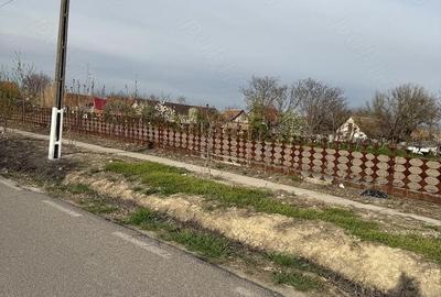 Teren de 1658 mp, în Iecea Mare - 3