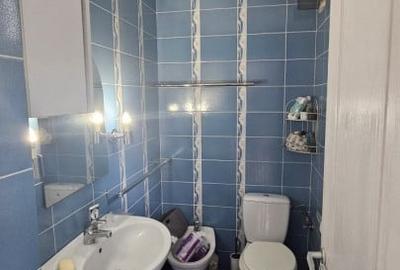 Casa cu 2 dormitoare, curte comuna, 125mp utili, garaj, Motilor - 13