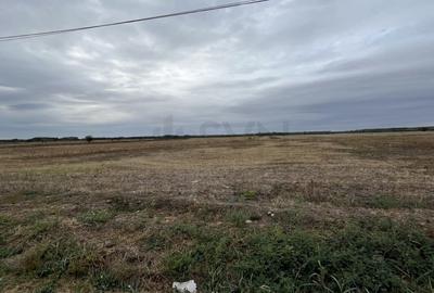 Teren agricol intravilan de 1700 mp, în Merii - 3