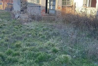 Teren de 2881 mp, în Ciuperceni - 7