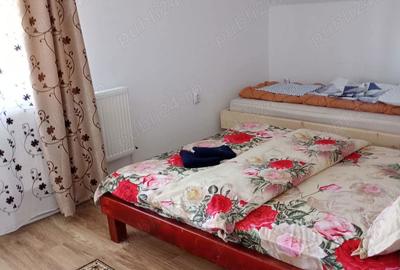 Casă în Beliș - 8