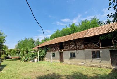 Teren 5.725 m Tomsani, Dambovi?a, la drum jude?ean - 6