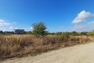 Ciolpani, Izvorani, apropiere padure si COR - 4