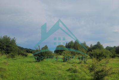 Teren pentru cabana/pensiune zona Lac Micesti! - 11