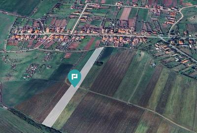 Teren intravilan + extravilan in Remetea Mica - 5