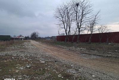 Spațiu comercial, în Cărpiniș - 5