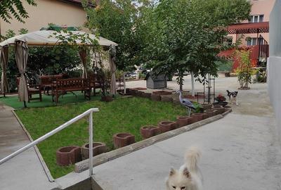 Casă individuală cu 10 camere cu Piscina în Dristor