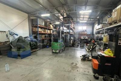 Hala de vanzare 365 mp, Mosnita Noua! - 5