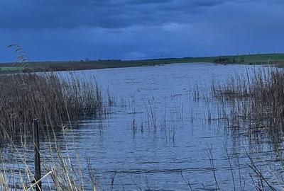 Teren de 120000 mp, în Drăgănești-Vlașca - 3